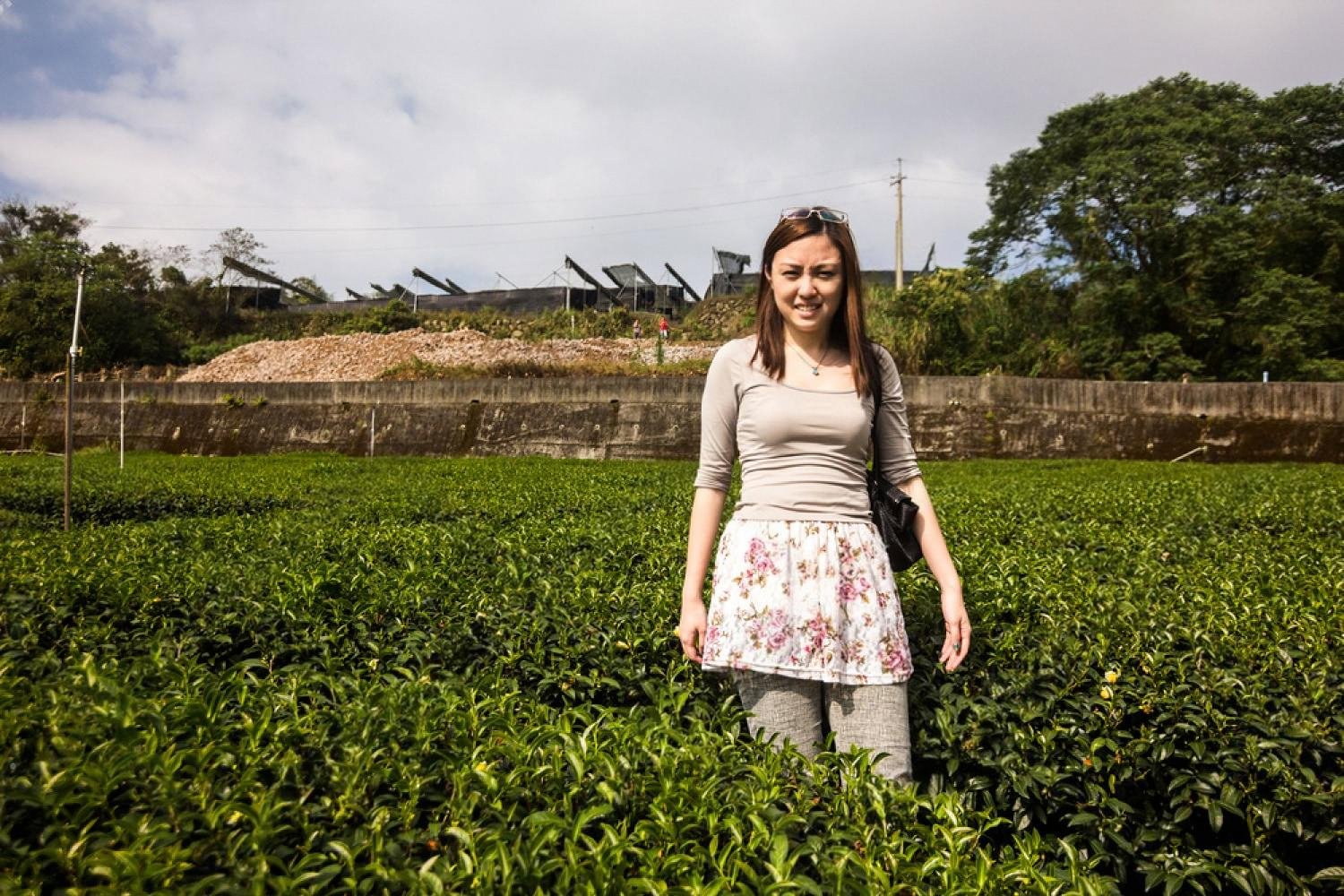 Woman standing in a green tea garden where oolong leaves are grown